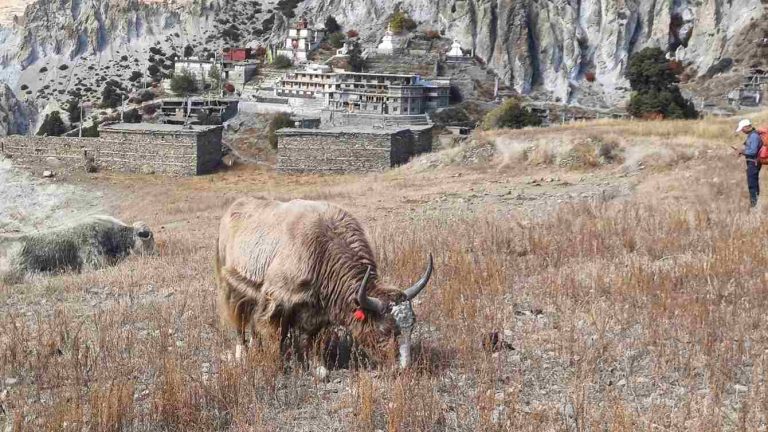 Braga old manang
