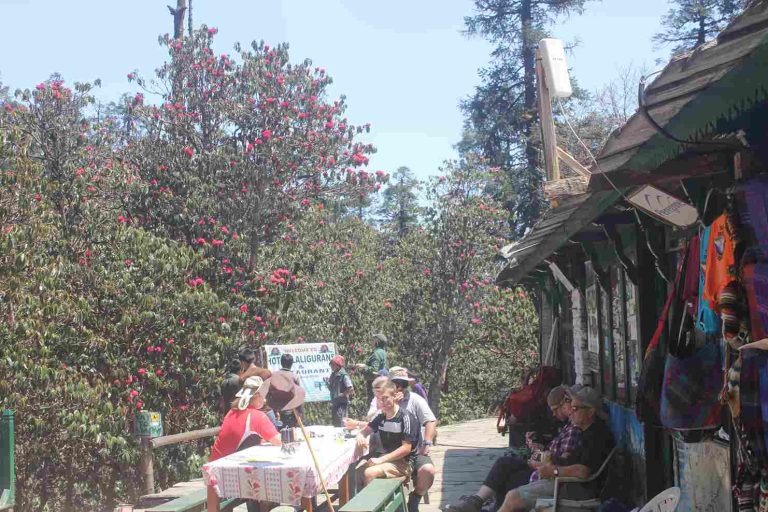 Downhill to Deurali
