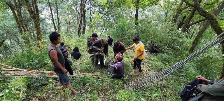 Hunting preparation for honey
