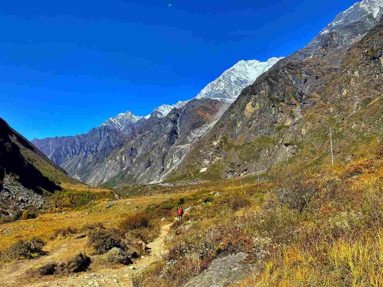 Lama Hotel to Kyanjin Ri Trek