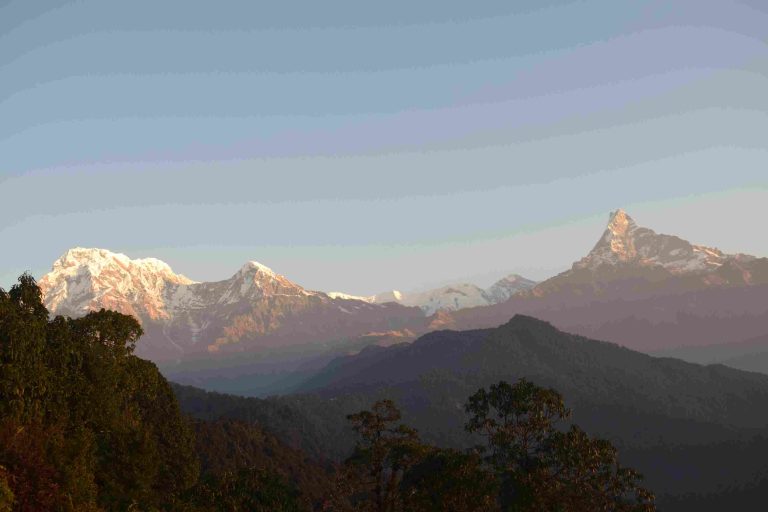 Lovely Hill Gauda