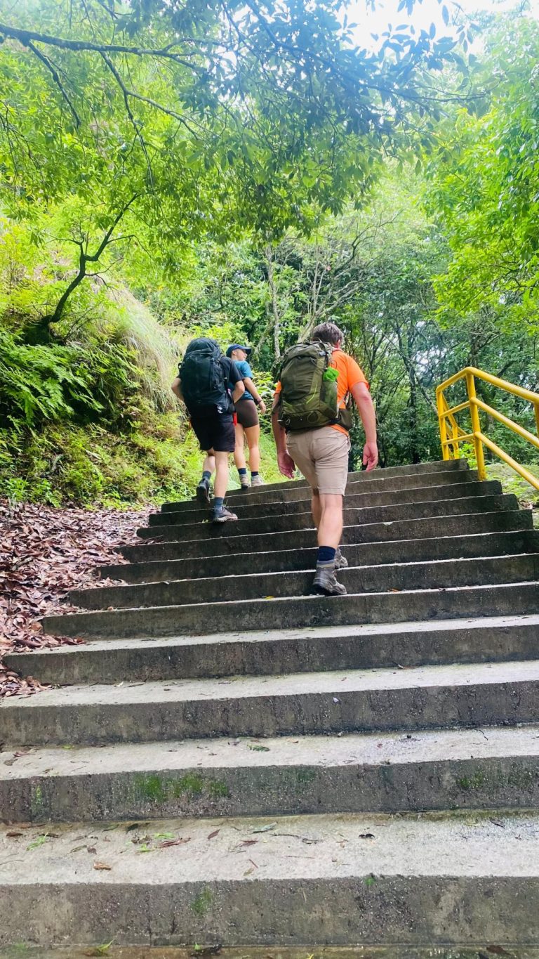 hiking deep in the woods