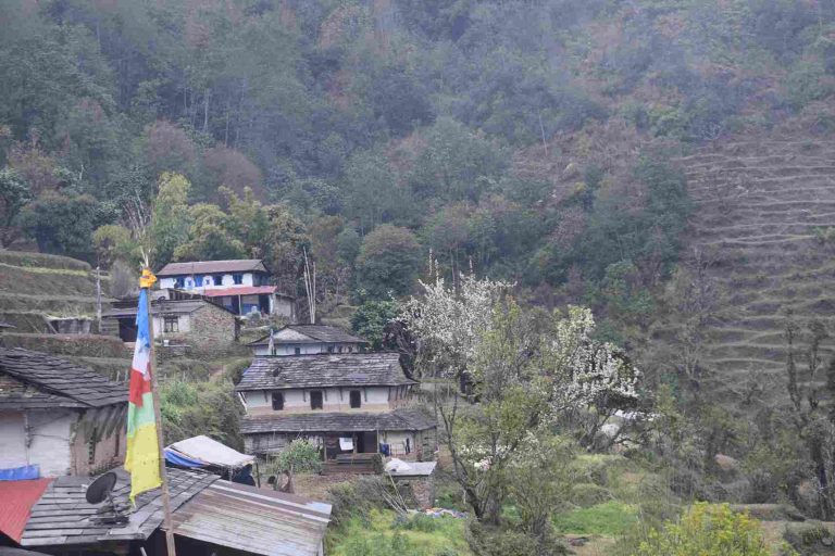 Siddhing Village