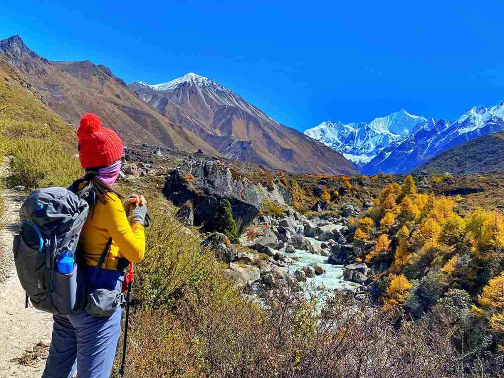 Langtang Valley Terrain