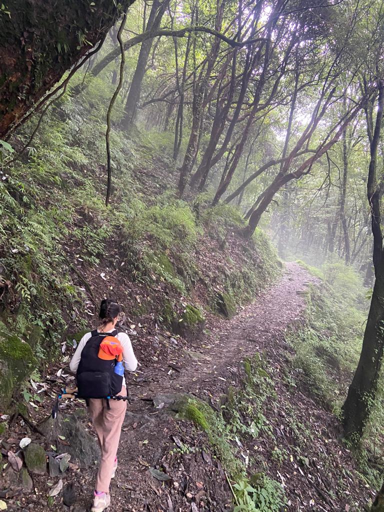 Bamboo to Sinuwa walk