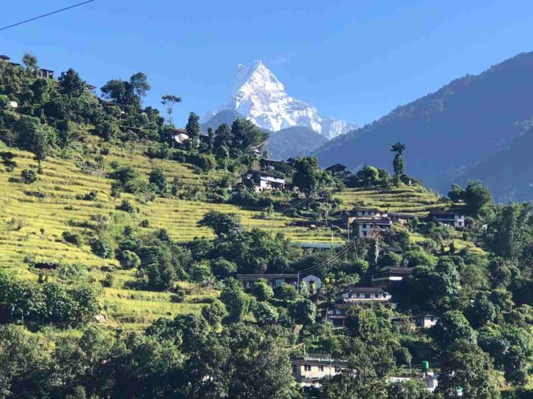 Syauli Bazzar At Ghandruk