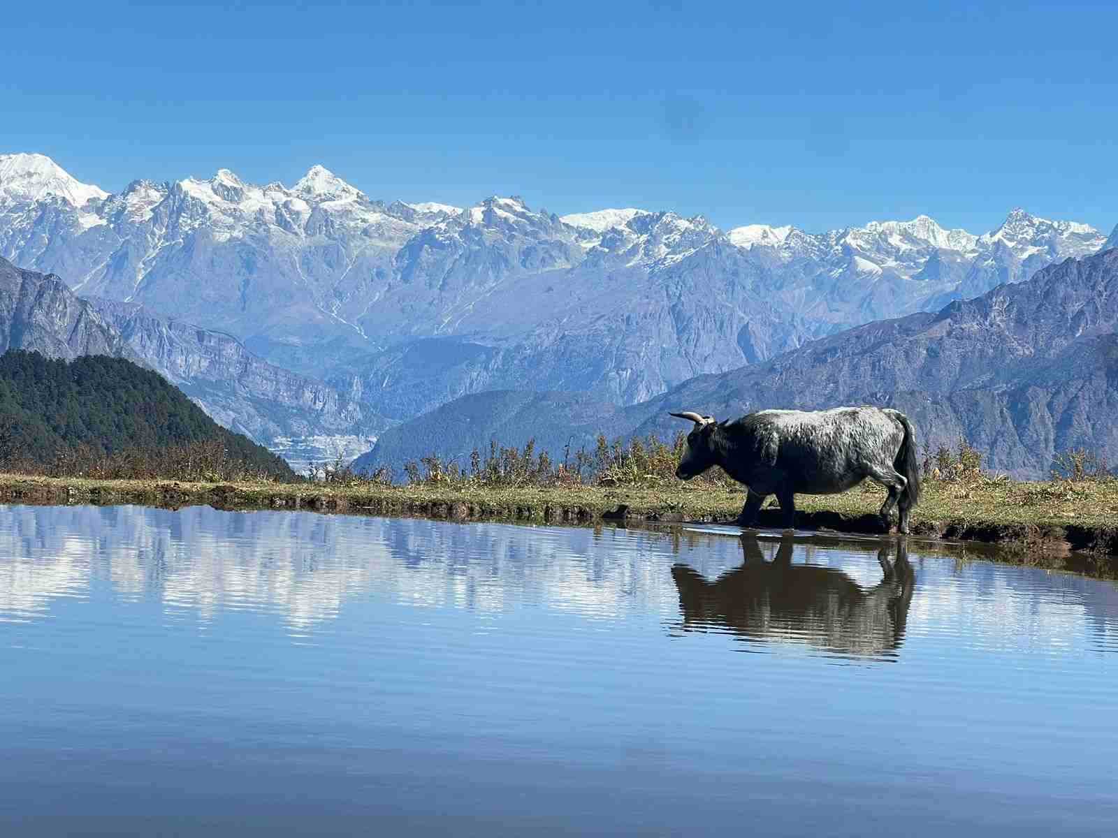 Tamang Heritage Trekking
