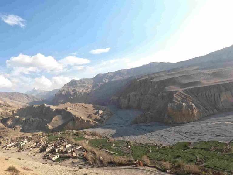 Tange Village Mustang
