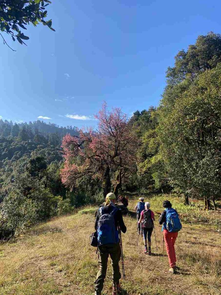 Banskharka to Nagi village walk