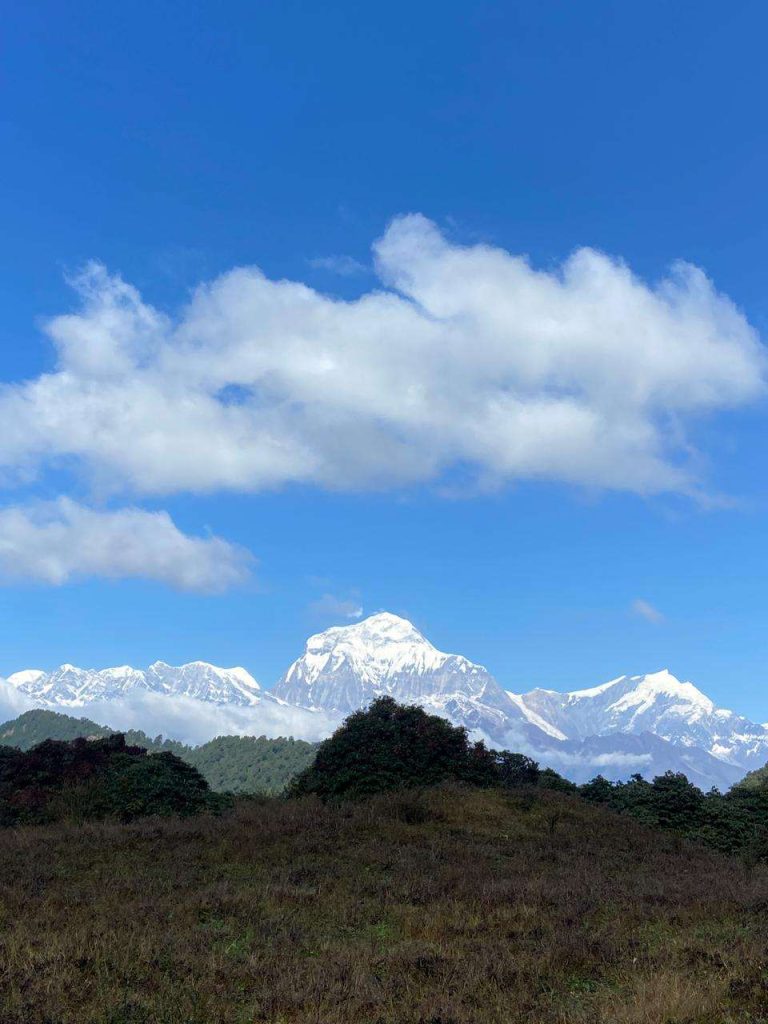 Dhaulagiri view from Chitre