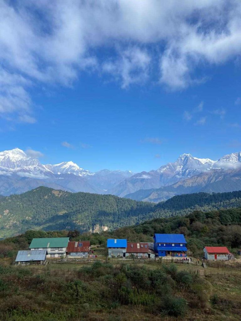 Phool bari village