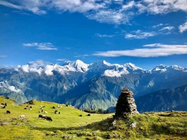 Singla pass