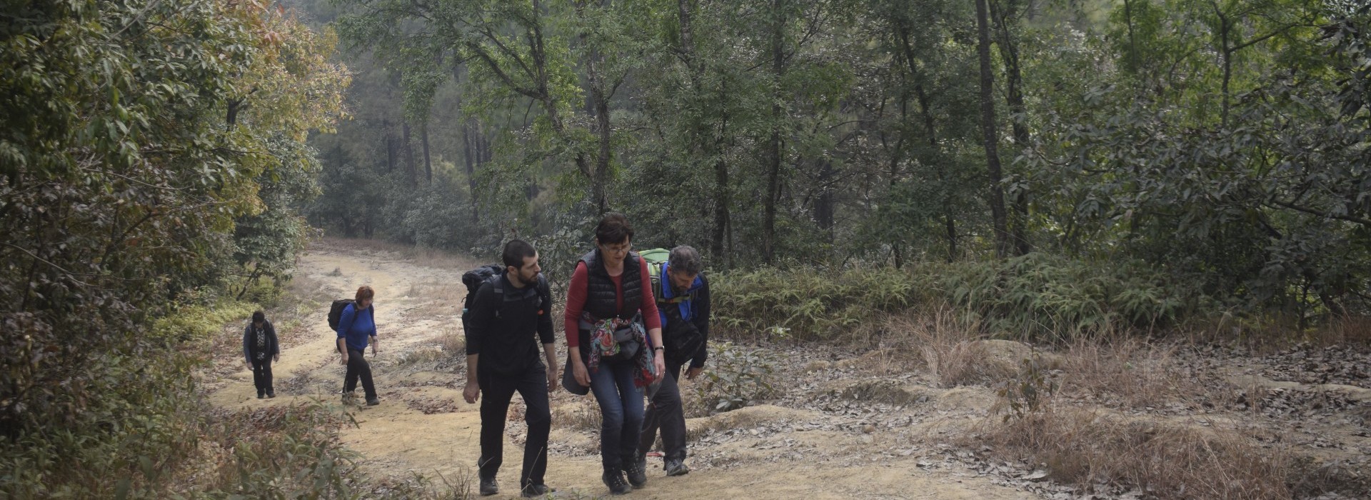 banner image12