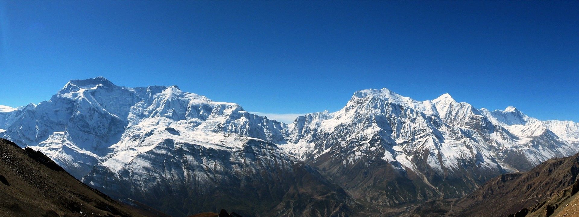 banner image7
