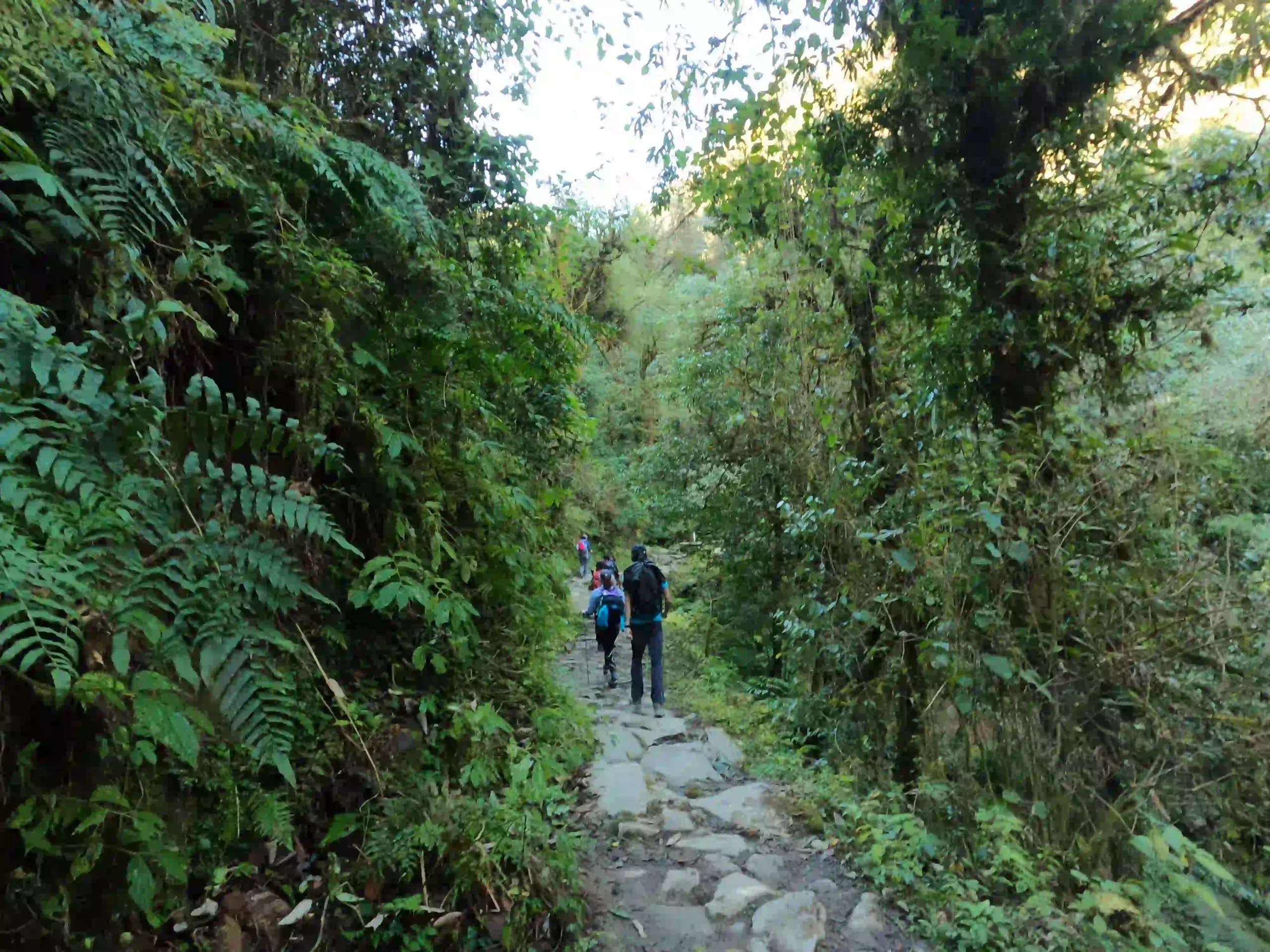 Annapurna base camp trek difficulty