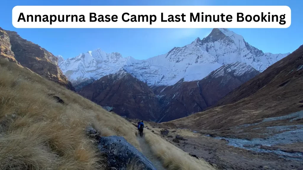 Last Minute Booking For Annapurna Base Camp Trek