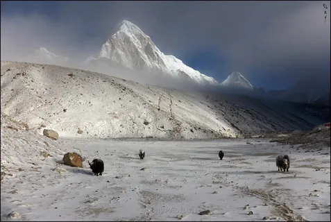 view from kalapatthar of mount everest