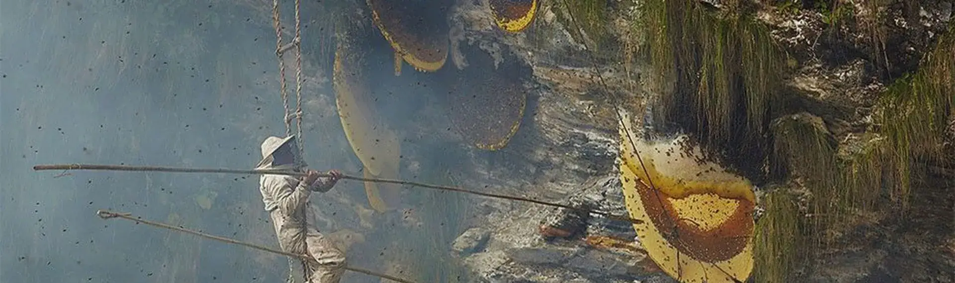 Manaslu Honey Hunting Tour