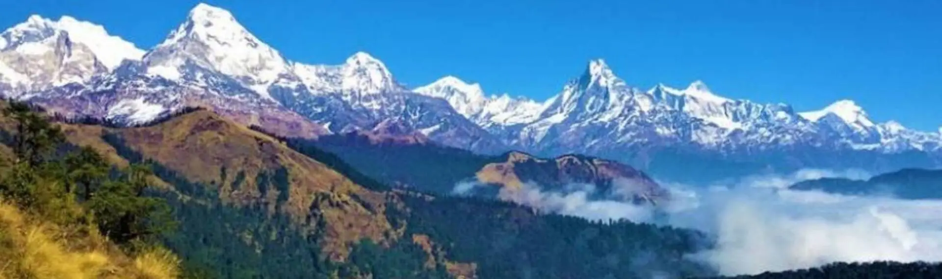 Mohare Danda and Khopra Muldai View Point Trekking – 11 Days