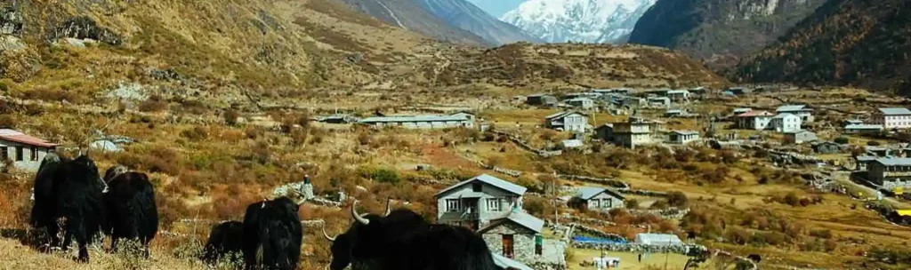 Accommodation in Langtang Valley Trek