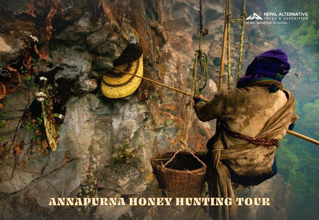 Annapurna Honey Hunting Tour