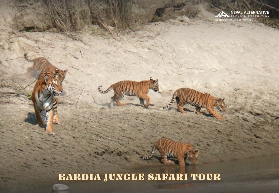 Bardia Jungle Safari Tour