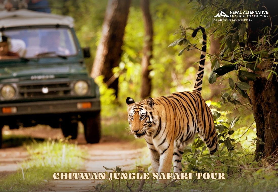 Chitwan Jungle Safari Tour