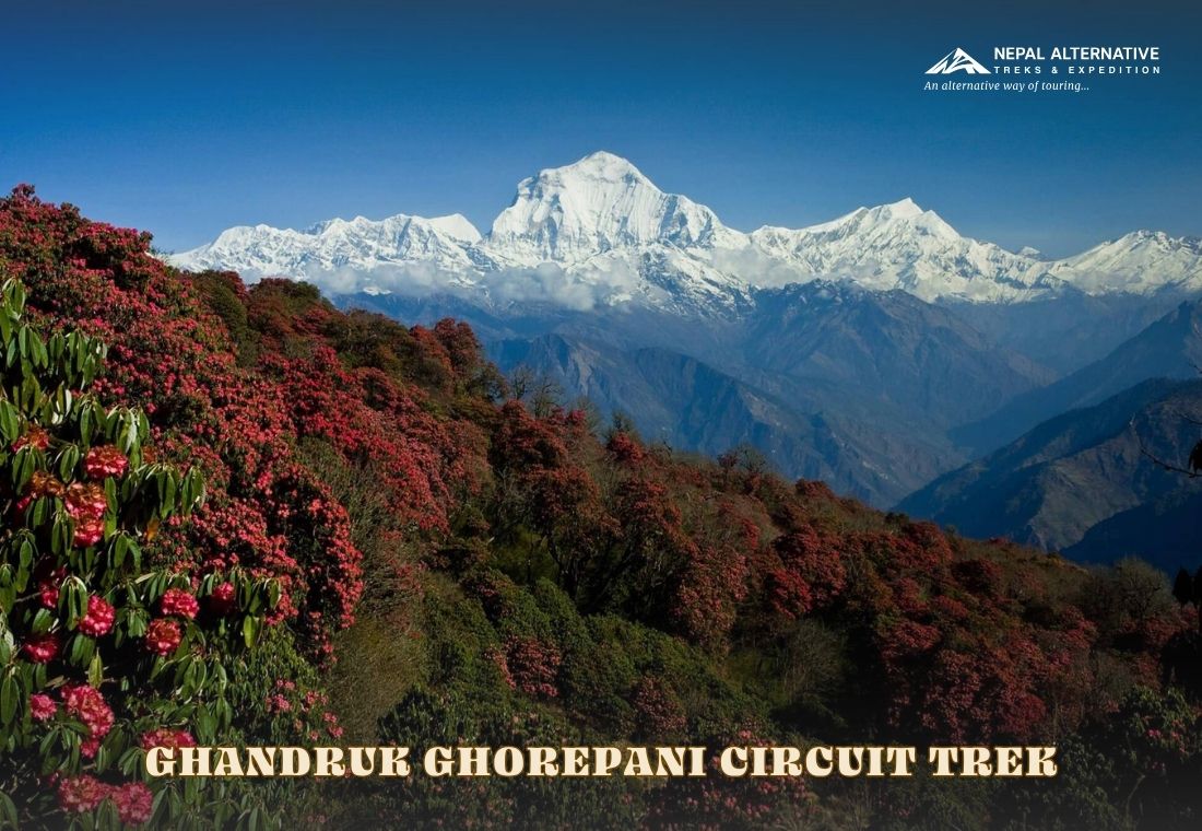 Ghandruk Ghorepani Circuit Trek
