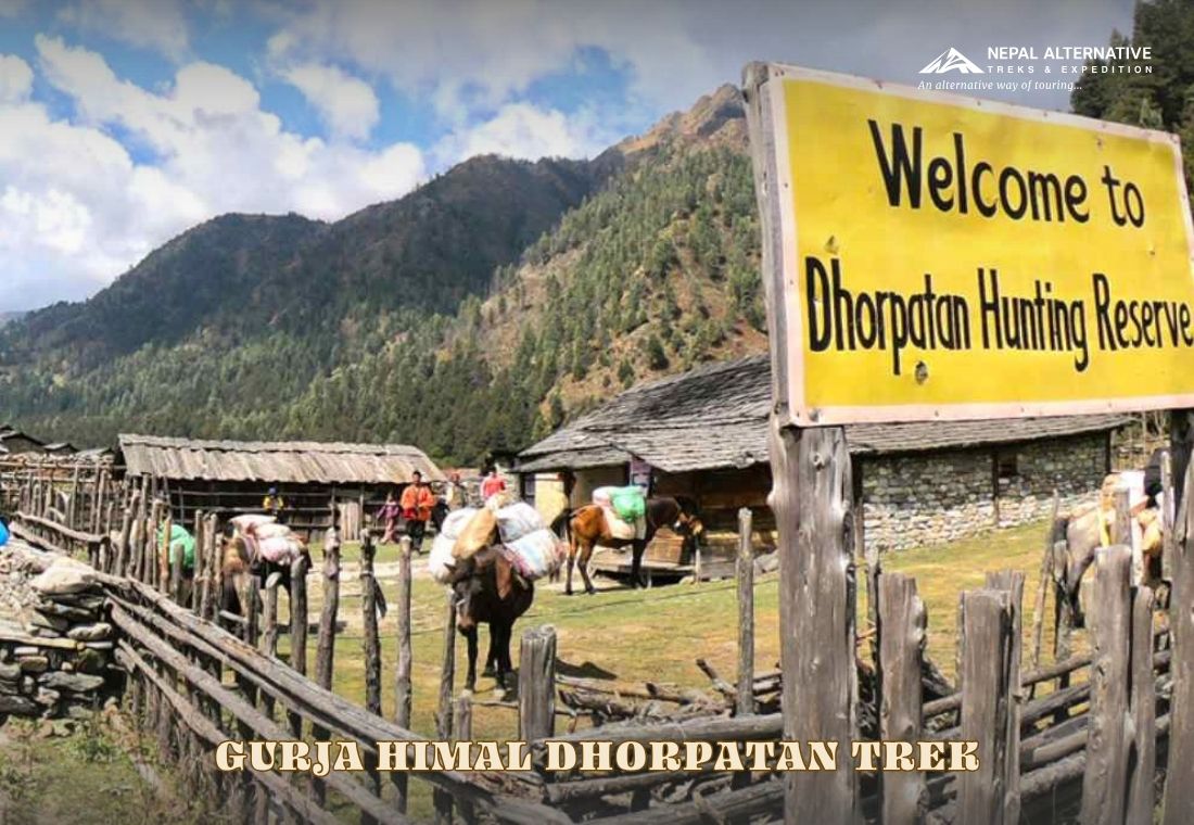Gurja Himal Dhorpatan Trek