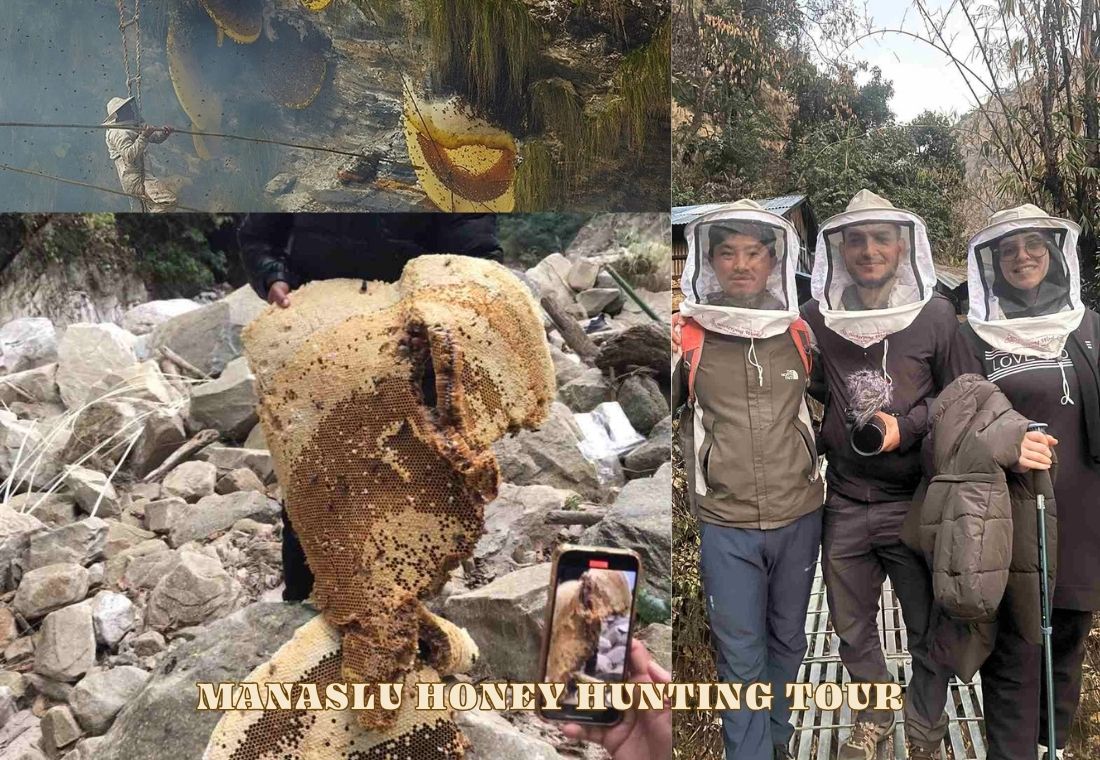 Manaslu Honey Hunting Tour