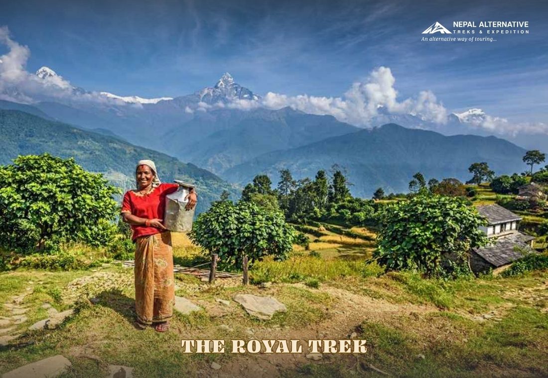 The Royal Trek